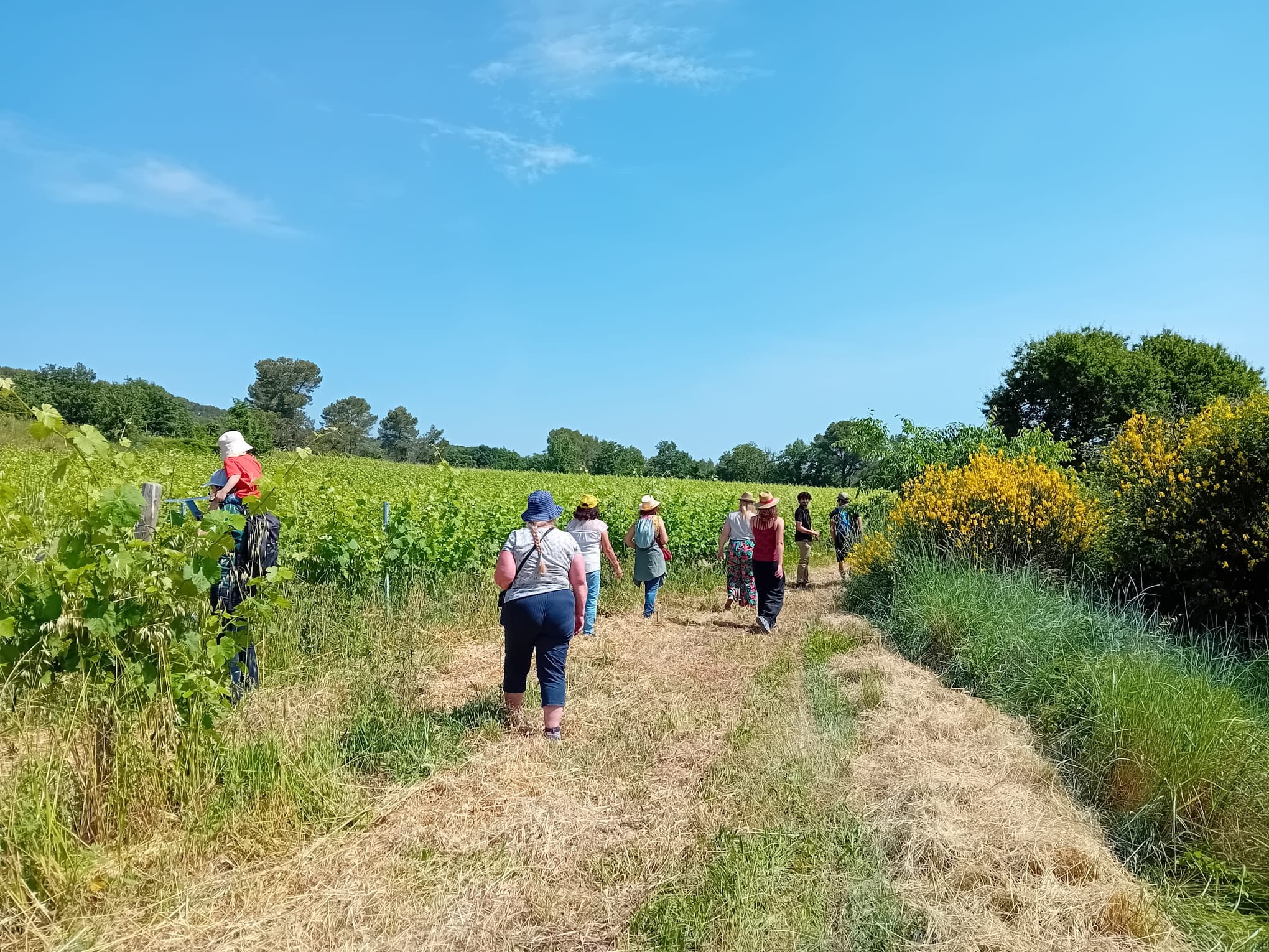 Visite des terrasses de vignes